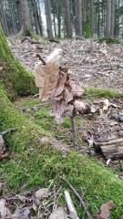 IMG_20200228_110126 (1)